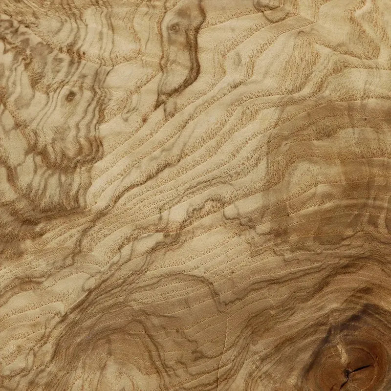 Olive Ash Burl